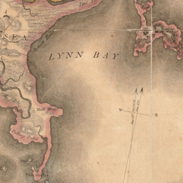 Map of Boston and its vicinity from actual survey — detail 1