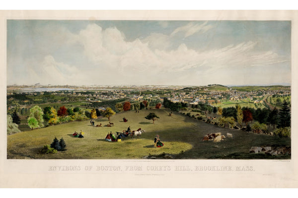 Boston from Corey's Hill, 1864 — 12×18 poster preview